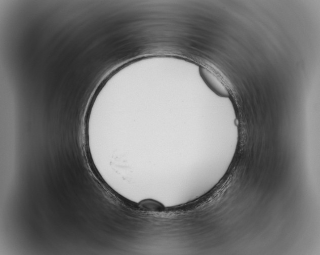 X0000096130996200802151310