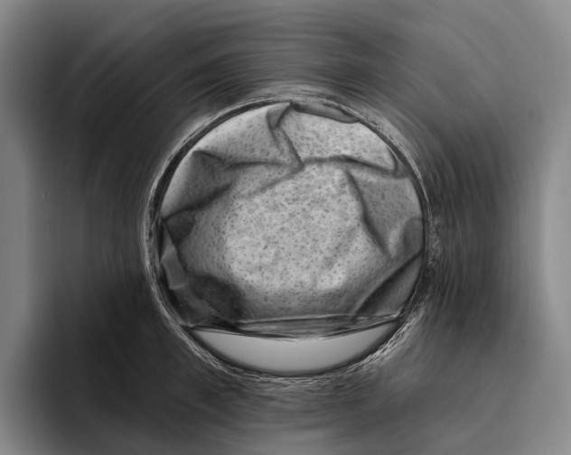 X0000096130997200802151310