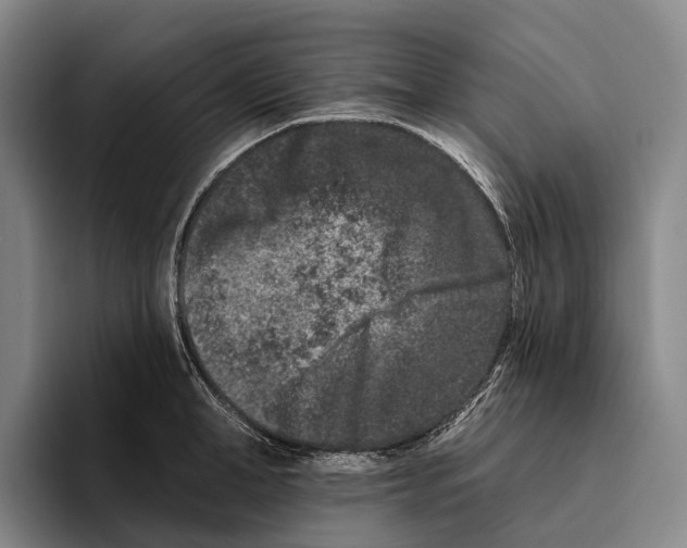 X0000096130998200802151310