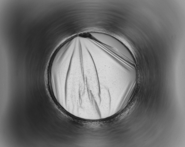 X0000096130999200802151310