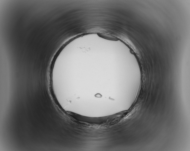 X0000096131000200802151310