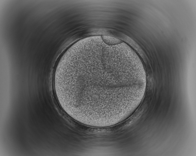 X0000096131002200802151310