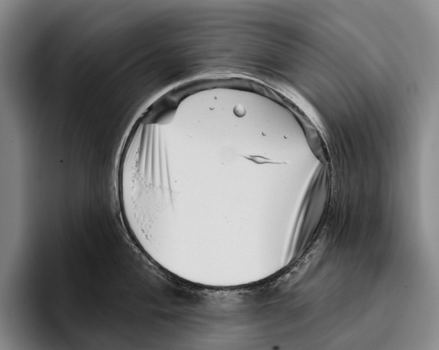 X0000096131004200802151310