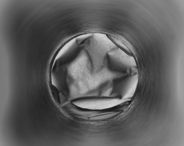 X0000096131005200802151310