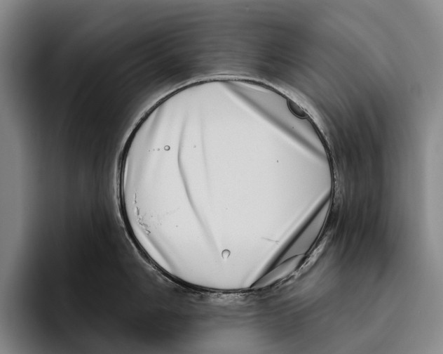 X0000096131006200802151310