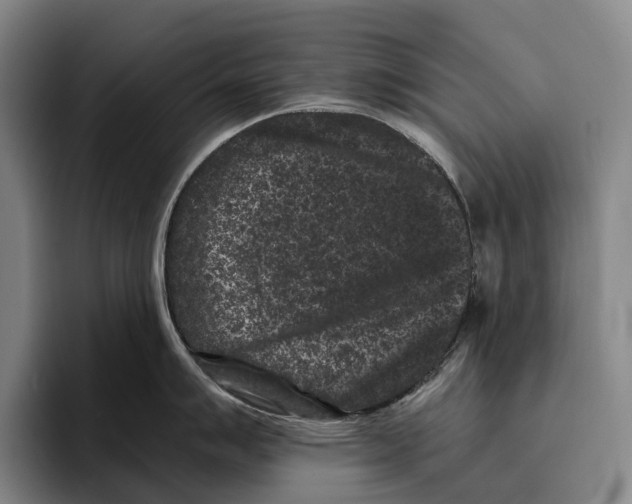 X0000096131007200802151310