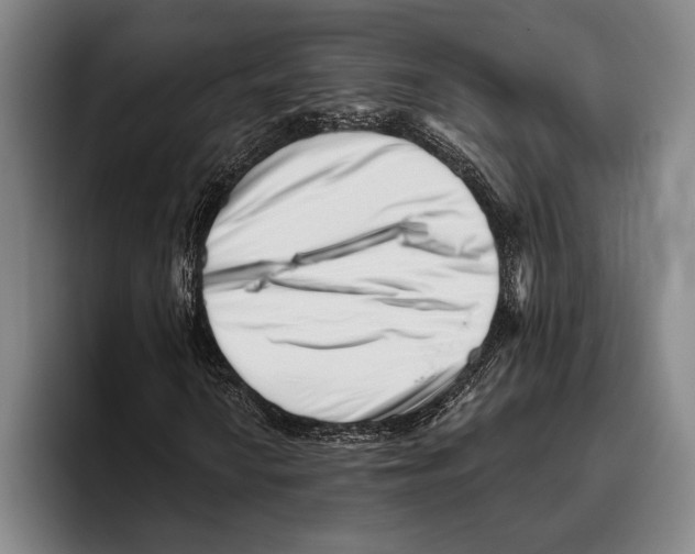 X0000096131010200802151309