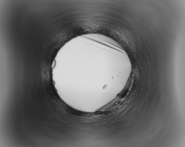 X0000096131012200802151309