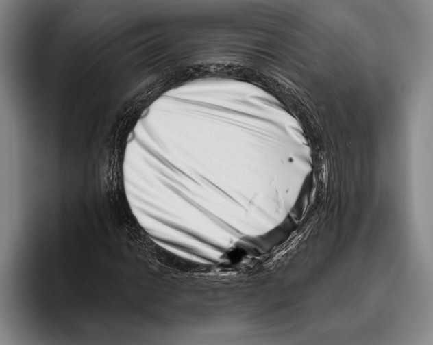 X0000096131014200802151309