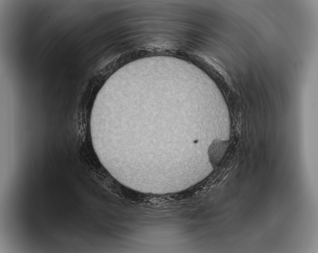 X0000096131015200802151309