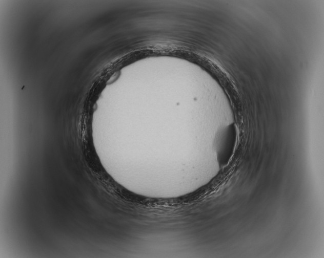 X0000096131016200802151309