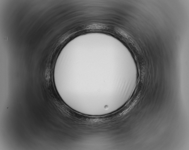 X0000096131017200802151309