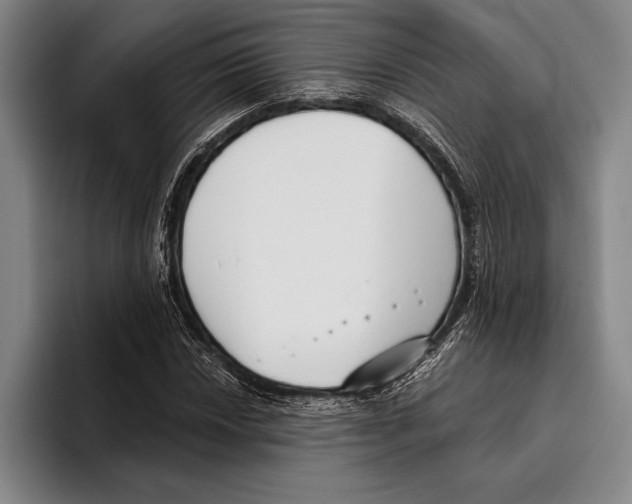 X0000096131018200802151309