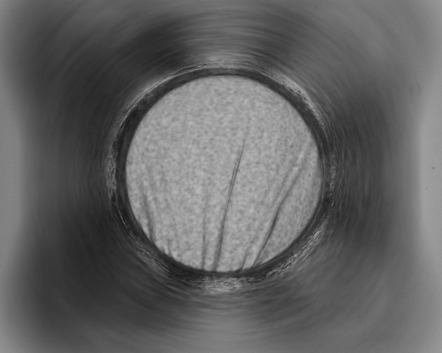 X0000096131019200802151309