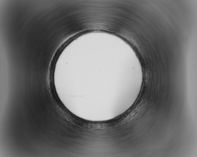 X0000096131020200802151309