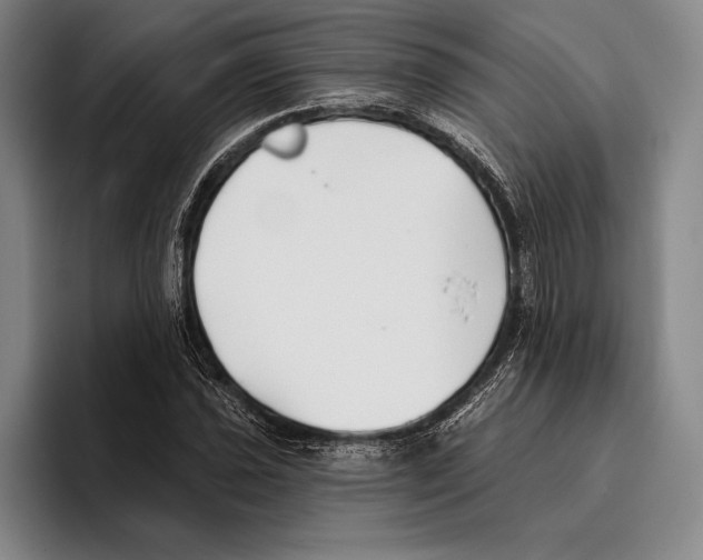 X0000096131021200802151309