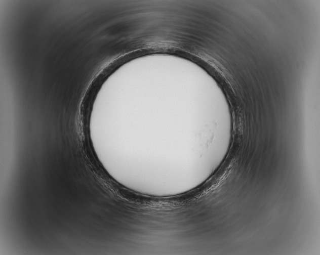 X0000096131022200802151309