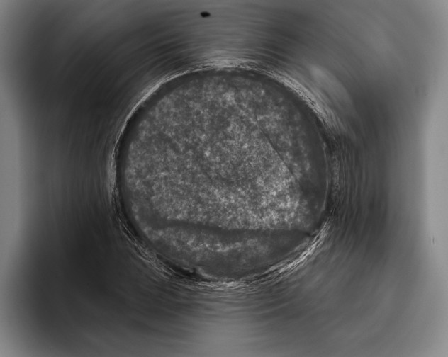 X0000096131023200802151309