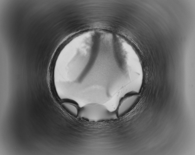 X0000096131024200802151309