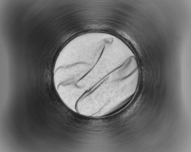 X0000096131025200802151309