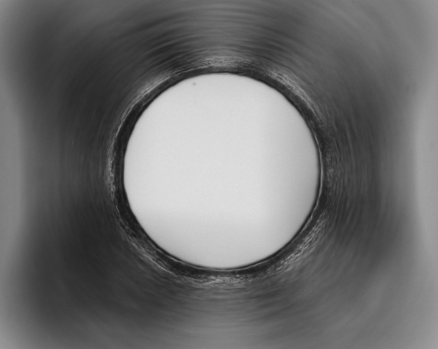 X0000096131026200802151309