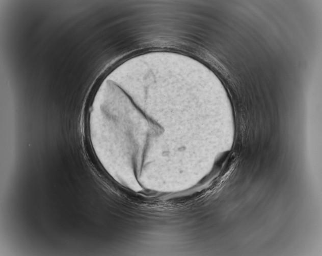 X0000096131028200802151310