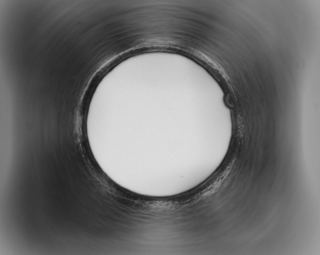 X0000096131029200802151310