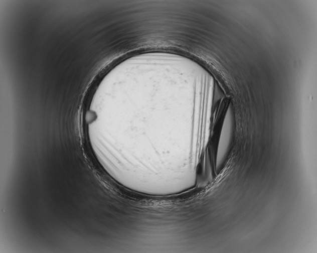 X0000096131030200802151310