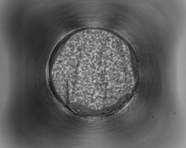 X0000096131032200802151310