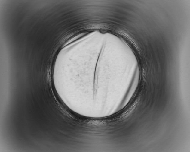 X0000096131033200802151310