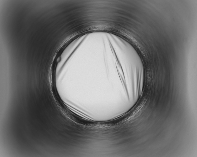 X0000096131034200802151310