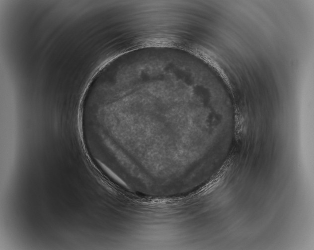 X0000096131035200802151310