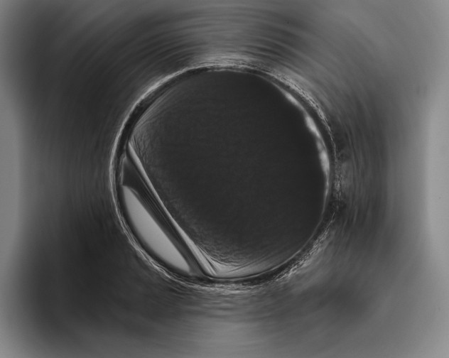 X0000096131037200802151310