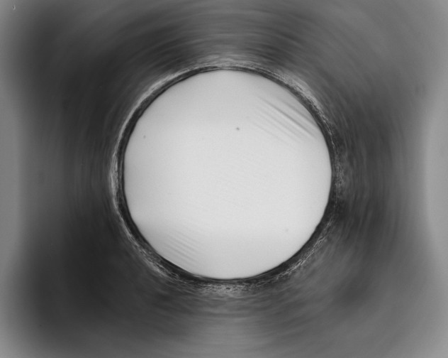 X0000096131040200802151310