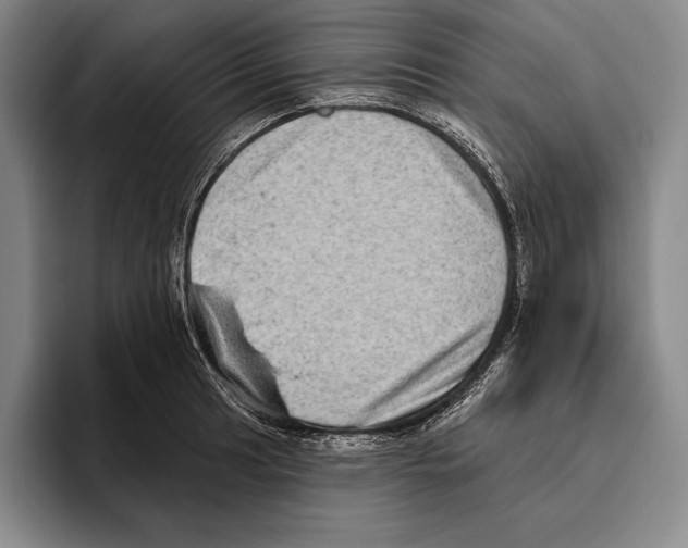 X0000096131041200802151310