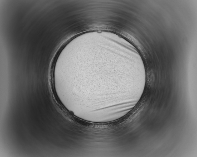 X0000096131043200802151310