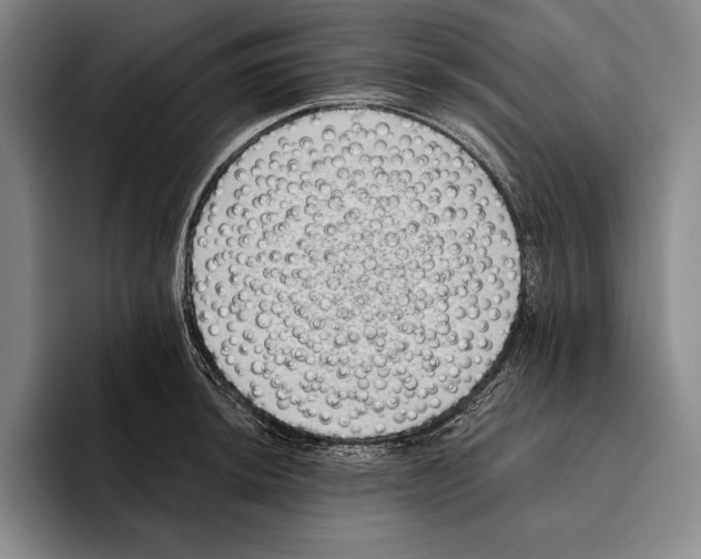 X0000096131044200802151310