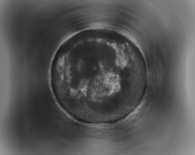 X0000096131045200802151310