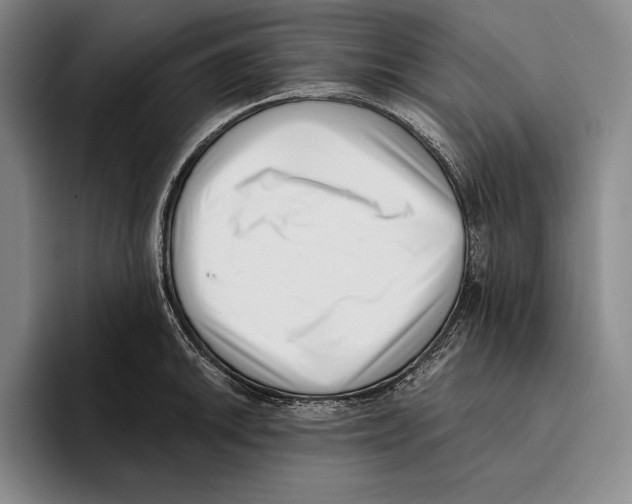 X0000096131046200802151310