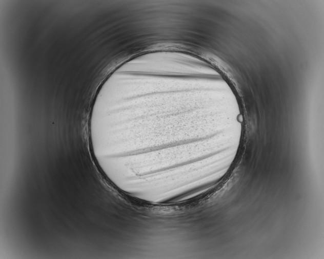 X0000096131049200802151310