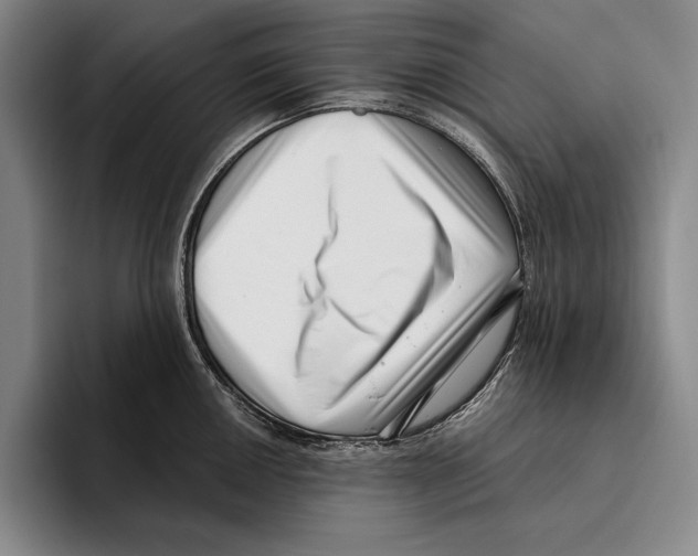 X0000096131050200802151310