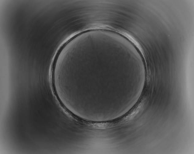 X0000096131053200802151310