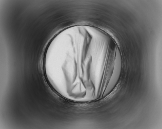 X0000096131054200802151310