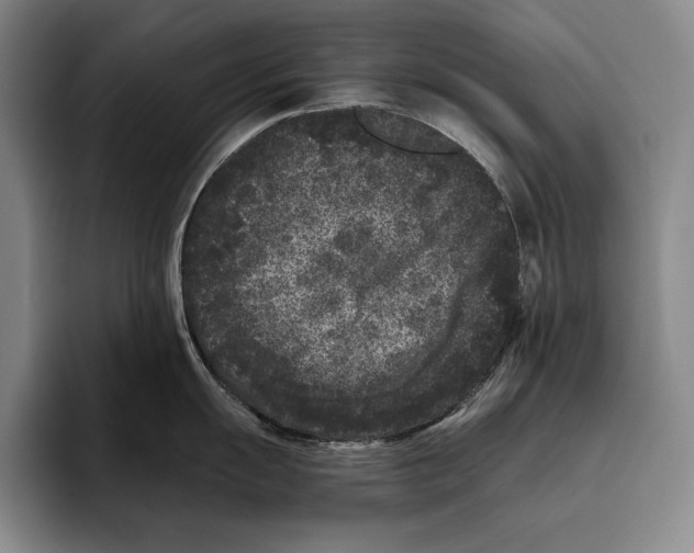 X0000096131055200802151310