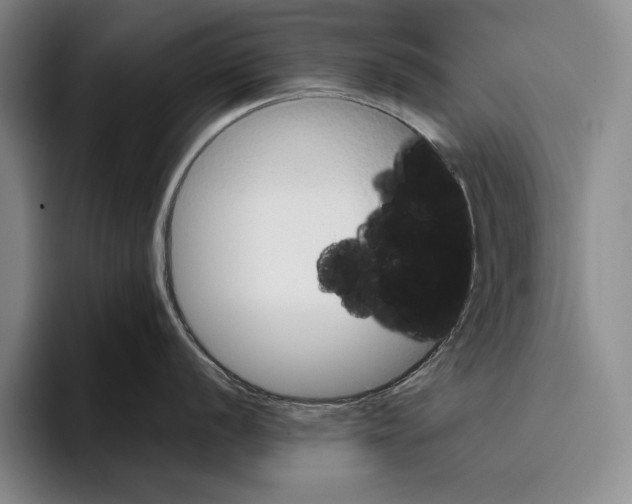 X0000096131056200802151310