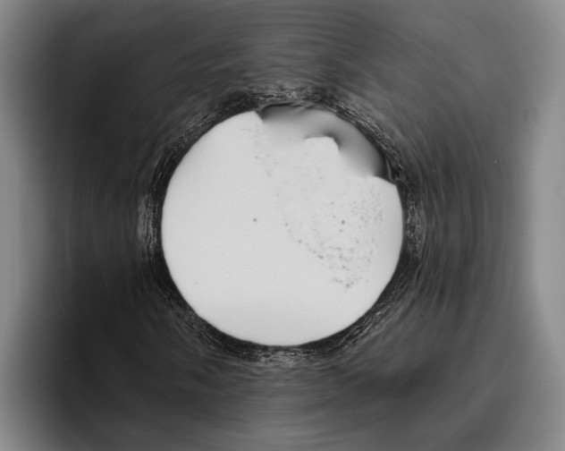 X0000096131058200802151309