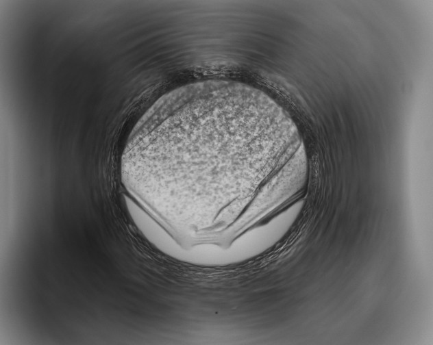 X0000096131060200802151309