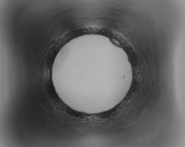 X0000096131061200802151309