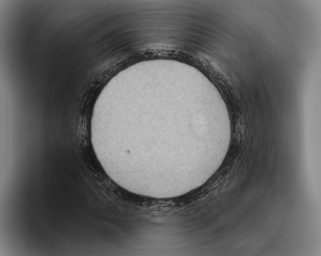 X0000096131062200802151309