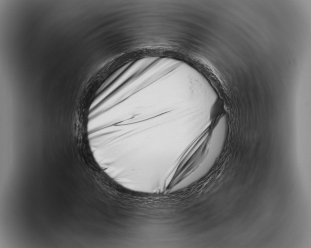 X0000096131064200802151309